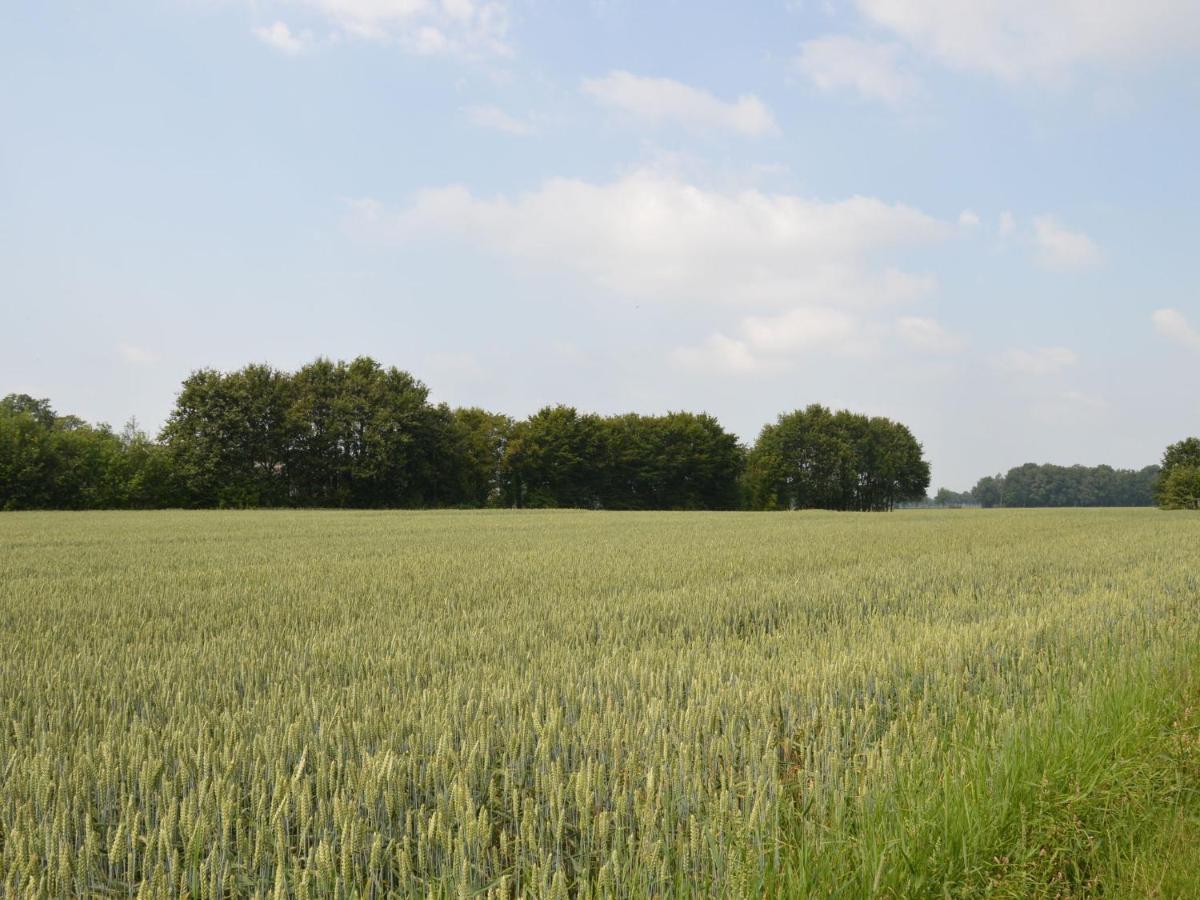 Monumental Farm In The Ash Landscape Geesteren (Gelderland) Exterior foto